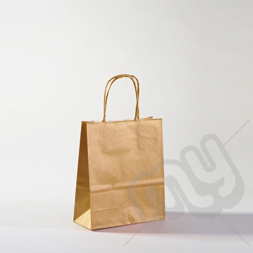 Gold Kraft Paper Bags with Twisted Handles - Small x 25pcs