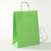 Green Kraft Paper Bags with Twisted Handles - Large x 25pcs